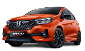 jual RENTAL MOBIL NEW BRIO LEPAS KUNCI PLUS SOPIR di area banyuwangi